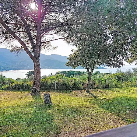 Terra Tramandera By Interhome Calcatoggio (Corsica)