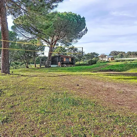 Tatil Evi Terra Tramandera By Interhome Calcatoggio (Corsica)